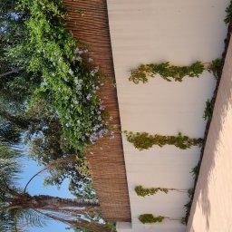 ALTERET CERAMICS TERRACOTTA 2